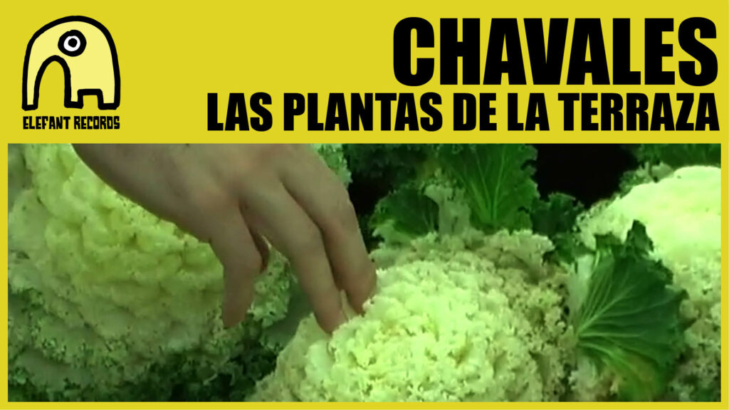 Imagen destacada de video: Las Plantas De La Terraza [Video-Clip]